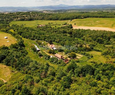 Sale Production premises, Production premises, Krupina, Slovakia