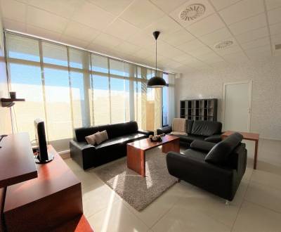 One bedroom  luxury apartment for rent - city centrum