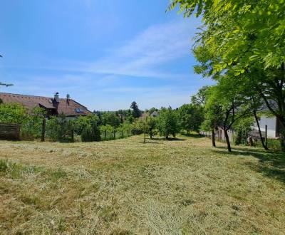 Sale Land – for living, Land – for living, Kollárova, Senec, Slovakia