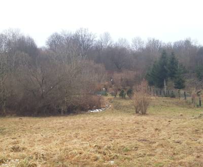 Sale Land – for living, Land – for living, Medzilaborce, Slovakia