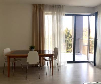 FOR RENT 1-bedroom luxurious, modern apartment, NEW BUILDING, garage