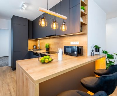 Rent Two bedroom apartment, Two bedroom apartment, Pavlovičovo námesti