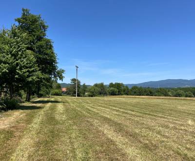 Sale Land – for living, Land – for living, Detva, Slovakia