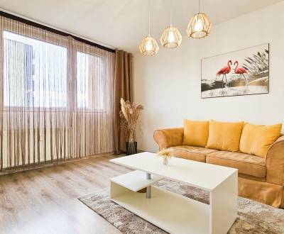 Rent One bedroom apartment, One bedroom apartment, Rašu, Bratislava - 