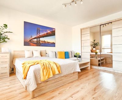 Rent Studio, Studio, Viedenská, Košice - Sídlisko Ťahanovce, Slovakia
