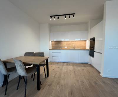 Rent One bedroom apartment, One bedroom apartment, Karpatská, Poprad, 