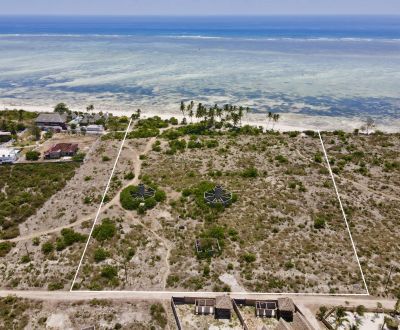 MAKUNDUCHI - BEACHFRONT INVESTMENT LAND