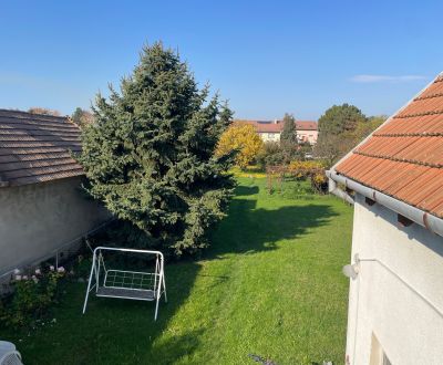 Sale Family house, Family house, Okružná, Senec, Slovakia