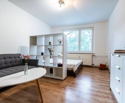 Rent Studio, Studio, Komenského, Poprad, Slovakia