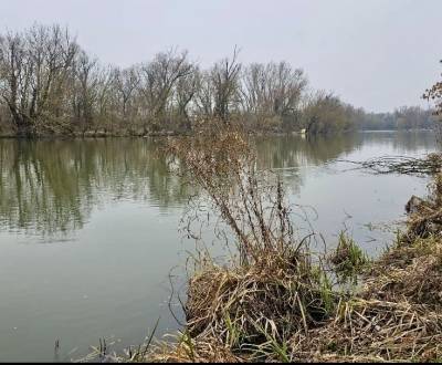 Sale Recreational land, Recreational land, Senec, Slovakia