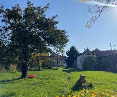 Sale Land – for living, Land – for living, Okružná, Senec, Slovakia