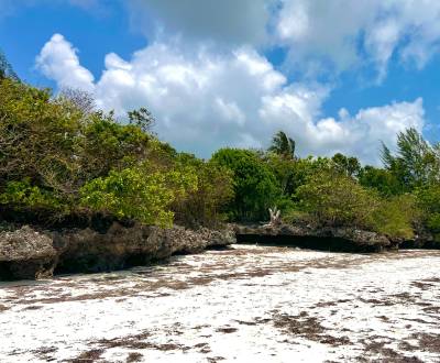 BEACHFRONT LAND FOR SALE IN JAMBIANI