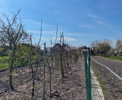 Sale Land – for living, Land – for living, Dunajská Streda, Slovakia