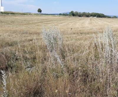 Rent Land plots - commercial, Land plots - commercial, Twin City Busin