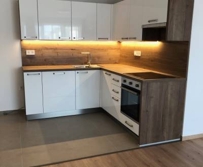 Rent One bedroom apartment, One bedroom apartment, Jána Ondruša, Malac