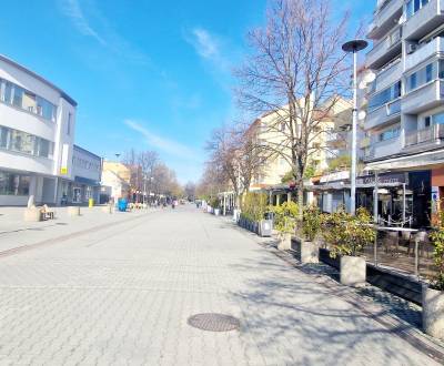 Rent Commercial premises, Commercial premises, Lichnerova, Senec, Slov
