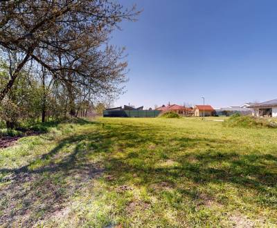 Building plot for a family house