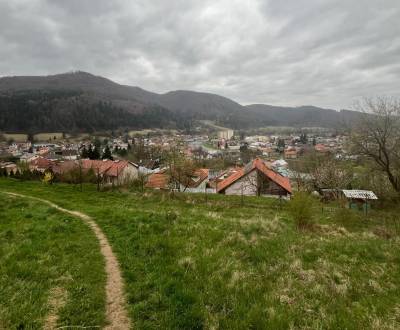 Sale Recreational land, Recreational land, Pod Dubinkou, Banská Bystri