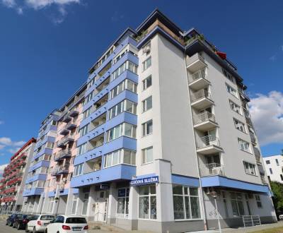 Sale Offices, Offices, Sv. Vincenta, Bratislava - Ružinov, Slovakia