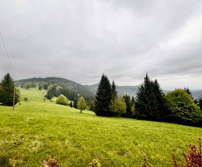 Sale Recreational land, Recreational land, Gregušovci, Čadca, Slovakia