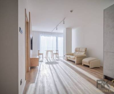 Rent One bedroom apartment, One bedroom apartment, Francisciho, Poprad