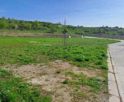 Sale Land – for living, Land – for living, Pod Vinicami, Pezinok, Slov