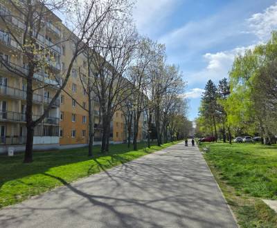 Sale Studio, Studio, Jadrová, Bratislava - Ružinov, Slovakia