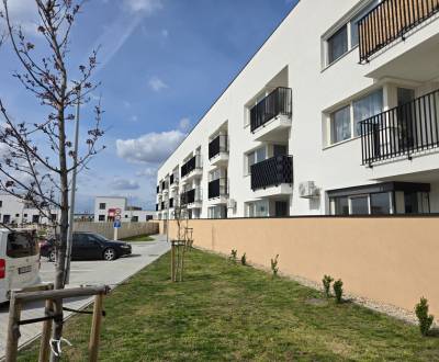 Rent One bedroom apartment, One bedroom apartment, Agátová, Senec, Slo