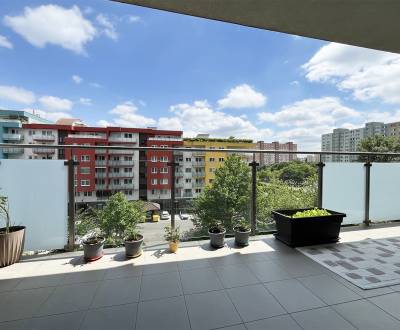 Sale One bedroom apartment, One bedroom apartment, Bosákova, Bratislav