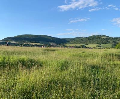 Sale Recreational land, Recreational land, Lesná, Zlaté Moravce, Slova