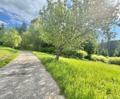Sale Land – for living, Land – for living, Korchaň, Čadca, Slovakia