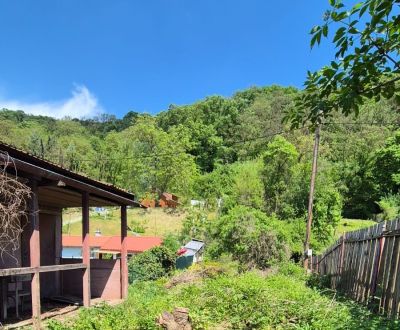 Sale Gardens, Gardens, Košice - Krásna, Slovakia