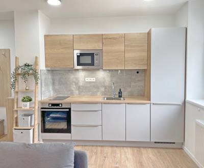 Modern 2-Room Apartment for Rent in Galanta's WEST District