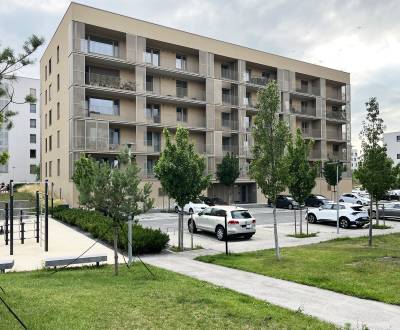 Rent One bedroom apartment, One bedroom apartment, Jána Langoša, Brati
