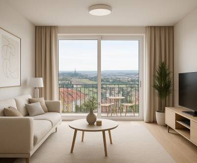 Sale Two bedroom apartment, Two bedroom apartment, Dolnohorská, Nitra,