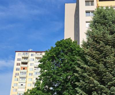 Sale Two bedroom apartment, Two bedroom apartment, Levice, Slovakia