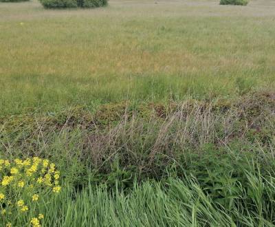 Sale Land plots - commercial, Land plots - commercial, Sučany, Martin,