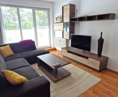Rent One bedroom apartment, One bedroom apartment, Opatovská cesta, Ko