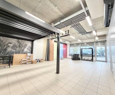 Modern Commercial Space Near Dubeň Shopping Center in Žilina