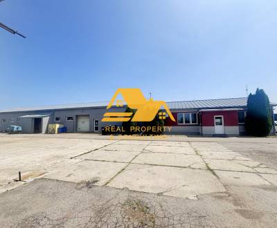 Sale Production premises, Production premises, Zemné, Nové Zámky, Slov
