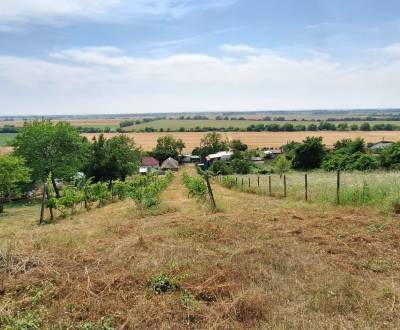 Sale Cottage, Cottage, Levice, Slovakia