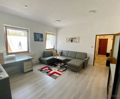Rent One bedroom apartment, One bedroom apartment, M.R.Štefánika, Mart