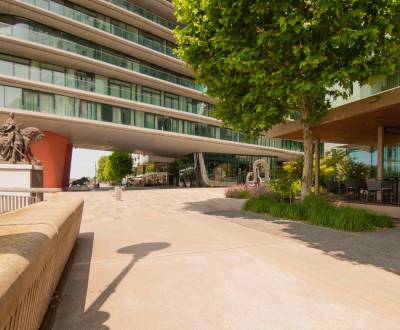 Rent One bedroom apartment, One bedroom apartment, Dvořákovo nábrežie,