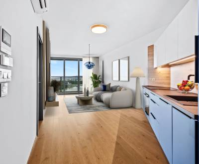 Sale One bedroom apartment, One bedroom apartment, Pribinova, Bratisla