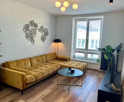 Rent One bedroom apartment, One bedroom apartment, Damborského, Nitra,