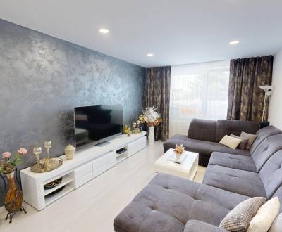 Sale Two bedroom apartment, Two bedroom apartment, Jazerná, Šaľa, Slov