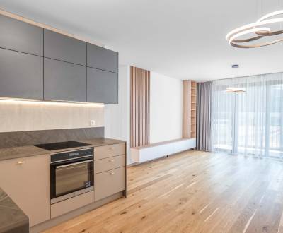 Sale One bedroom apartment, One bedroom apartment, Košická, Bratislava