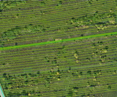Sale Agrarian and forest land, Agrarian and forest land, Kostolianska 
