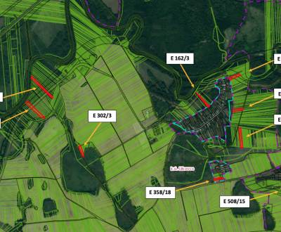 Sale Agrarian and forest land, Agrarian and forest land, Michalovce, S