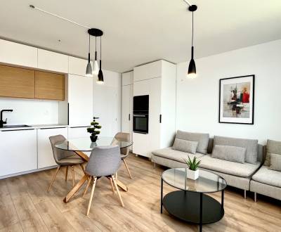 Rent One bedroom apartment, One bedroom apartment, Sokolia, Senec, Slo